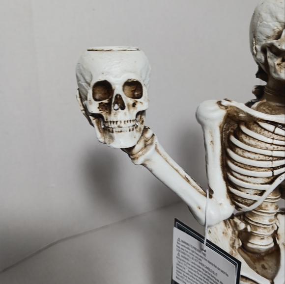 Martha Stewart Halloween Skull Gothic Candelabra 3 Arm Taper Candle Holder - Picture 3 of 15